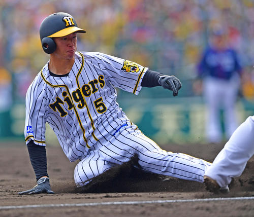 阪神近本光司（2019年6月22日撮影）