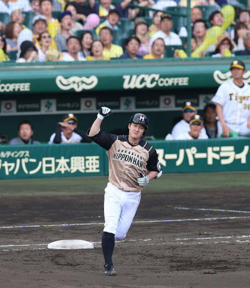 9日の阪神対日本ハム　7回表日本ハム2死満塁、渡辺は中越え満塁本塁打を放ちガッツポーズ（撮影・上山淳一）