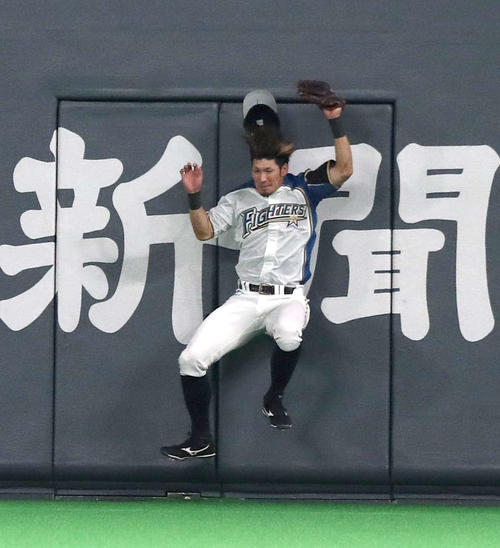 14日の日本ハム対巨人　5回表巨人2死、坂本勇の打球をフェンスに激突しながら捕球する大田（撮影・黒川智章）