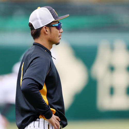 鳥谷敬（撮影・加藤哉）