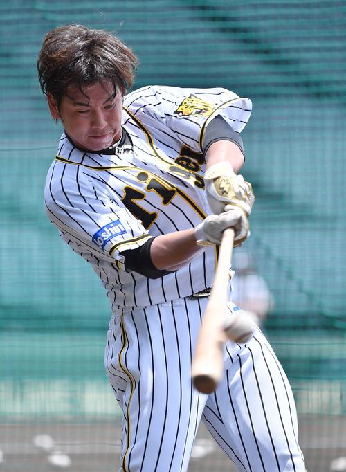 ロング打撃で快音を響かせる梅野（撮影・上田博志）