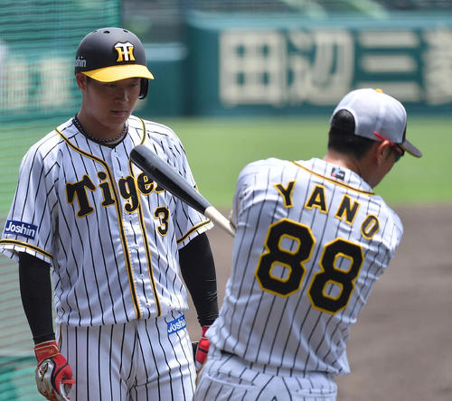 矢野燿大監督（右）に打撃指導を受ける大山悠輔（撮影・上田博志）