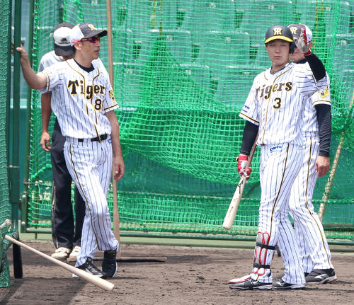 打撃練習で矢野監督（左）と話す大山（撮影・上山淳一）