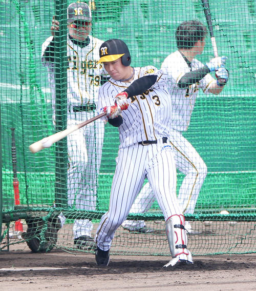 フリー打撃で黙々と打ち込む大山（撮影・上山淳一）