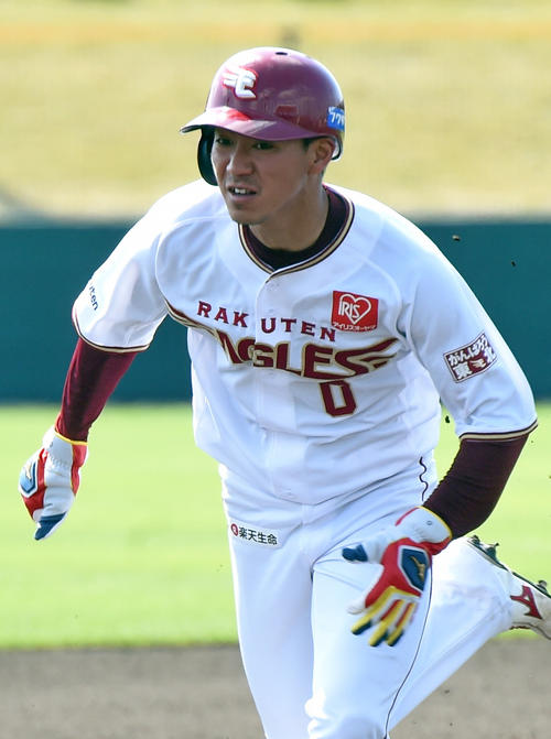 楽天島井（18年2月13日撮影）