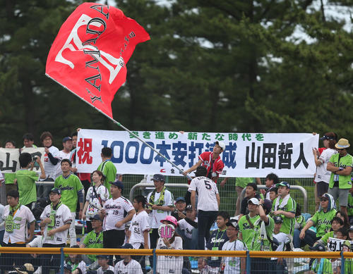 ヤクルト対巨人　1回裏ヤクルト無死、通算1000本安打を放った山田哲を祝福するヤクルトファン（撮影・狩俣裕三）