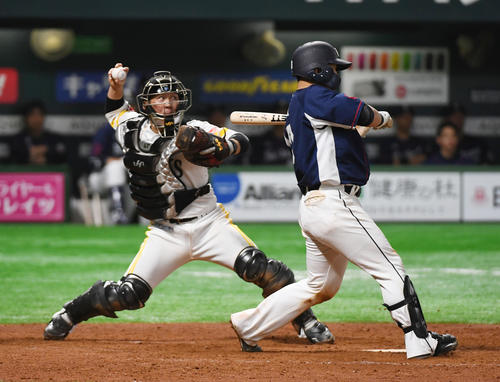 ソフトバンク甲斐拓也（19年3月30日撮影）