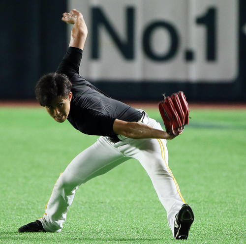 投手練習に参加しキャッチボールする高橋礼（撮影・栗木一考）