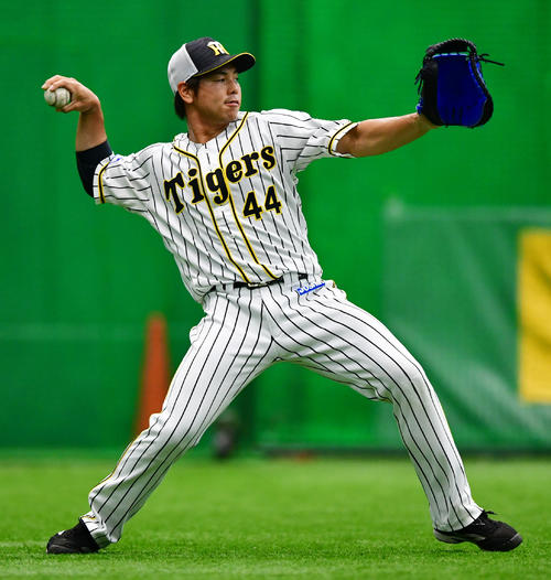 阪神梅野隆太郎（2019年6月27日撮影）