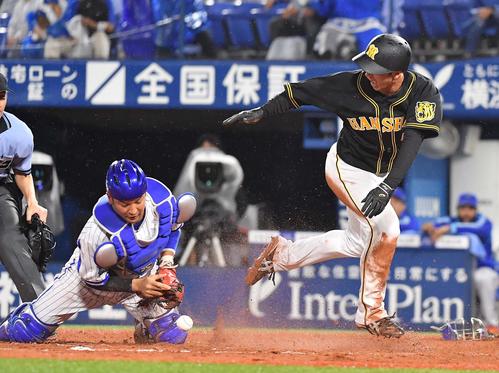 DeNA対阪神　11回表阪神無死三塁、糸原健斗の右犠飛で生還する近本光司（撮影・上田博志）
