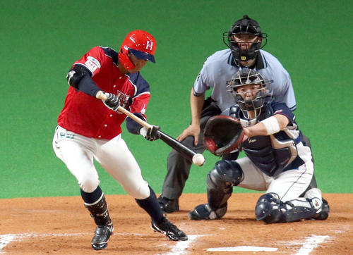 日本ハム対西武 6回裏日本ハム1死、セーフティバントを決める石井(撮影・佐藤翔太)