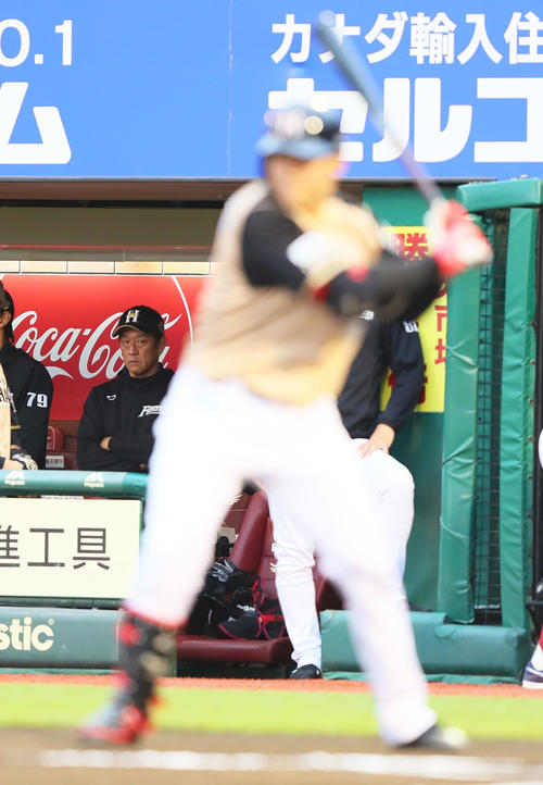 楽天対日本ハム　打席に入る日本ハム清宮（手前）を見つめる栗山監督（撮影・足立雅史）