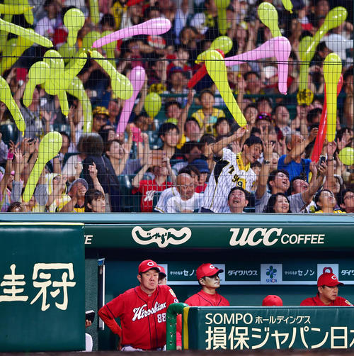 7回、阪神ファンのジェット風船を背にベンチで厳しい表情の緒方監督（中央）。左は佐々岡コーチ（撮影・清水貴仁）