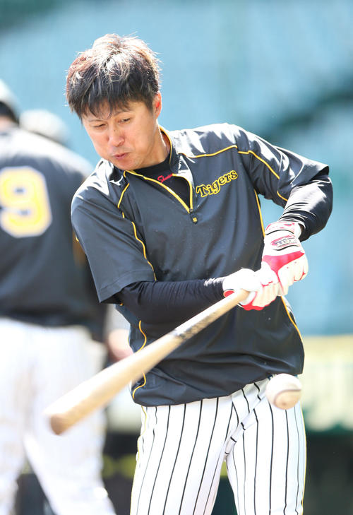 阪神対広島　試合前、ティー打撃する俊介（撮影・上山淳一）