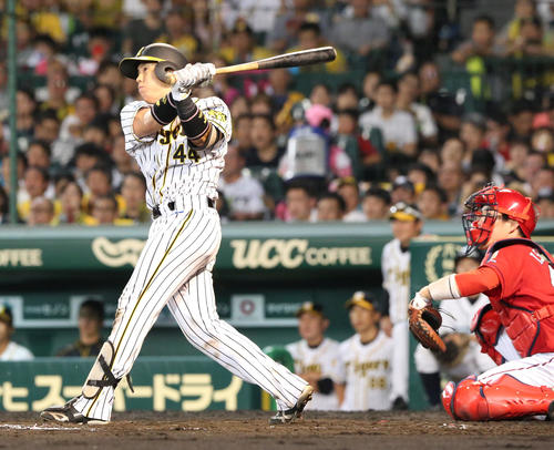 5回裏阪神無死一、三塁、梅野隆太郎は左飛を放ち犠飛とする（撮影・上山淳一）