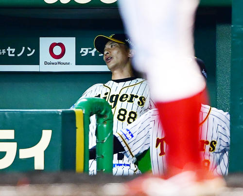 6回表広島1死、菊池涼のハーフスイングもボールの判定に苦笑いの矢野監督（撮影・清水貴仁）