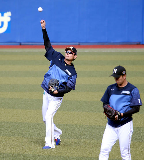 キャッチボールをする日本ハム中村（撮影・佐藤翔太）