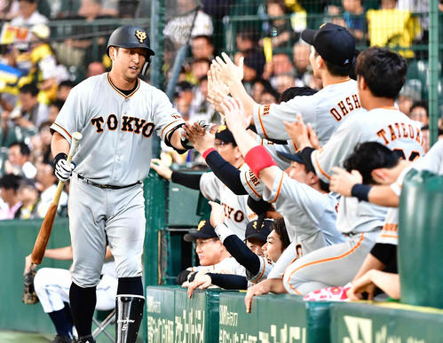 阪神対巨人　8回表巨人1死三塁、代打中島は遊ゴロで先制点を導きベンチのナインの祝福を受ける（撮影・小沢裕）