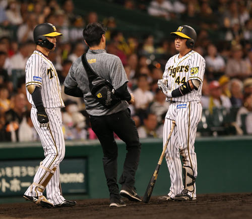 梅野はファウルを打った後、手首を気にする（2019年7月7日撮影）
