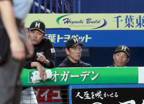 ロッテ対日本ハム　ベンチで険しい表情の日本ハム栗山監督（中央）（撮影・佐藤翔太）