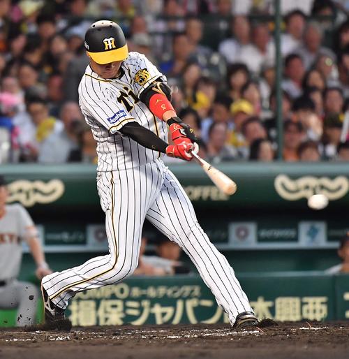 4回裏阪神無死、左前安打を放つ大山（撮影・上田博志）