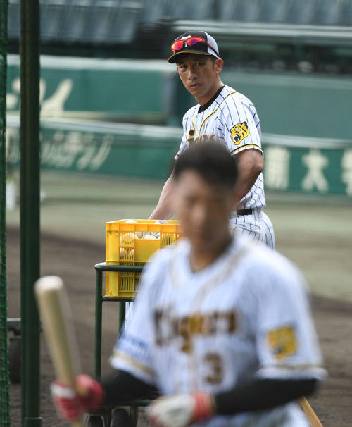 大山（手前）らの打撃練習を見る矢野監督（撮影・渦原淳）