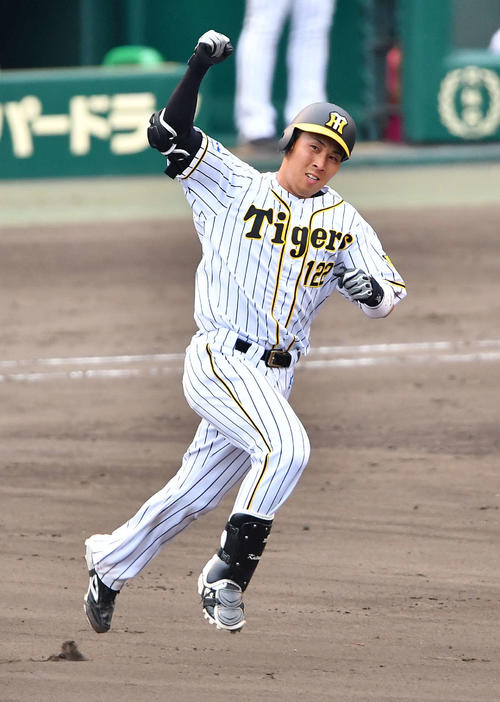 阪神片山（2019年6月14日撮影）
