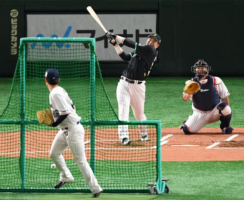 全セ対全パ　ホームラン競争で快音を響かせるヤクルト村上（撮影・横山健太）