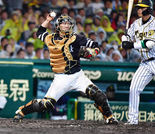 プロ野球オールスター第2戦　全セ対全パ　4回裏全セ1死一塁、打者原口文仁の時に走ったDeNA神里和毅をアウトにするソフトバンク甲斐拓也（撮影・清水貴仁）