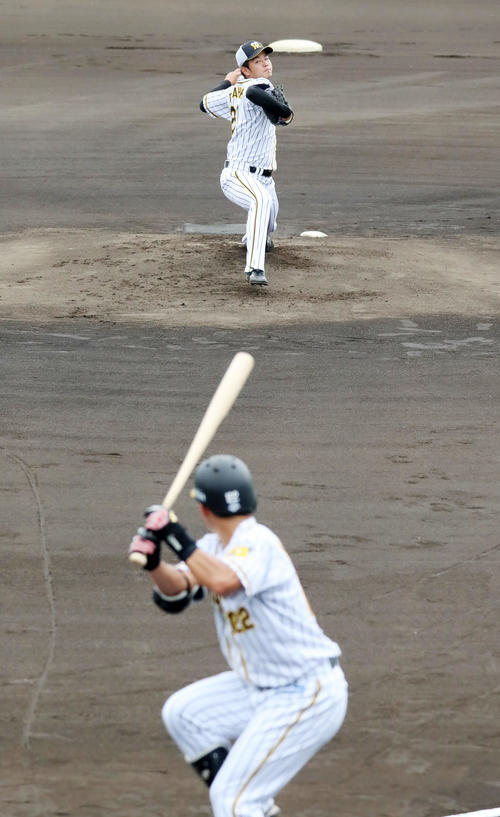 シート打撃に登板した高橋遥は1軍の練習に参加した片山と対戦（撮影・加藤哉）