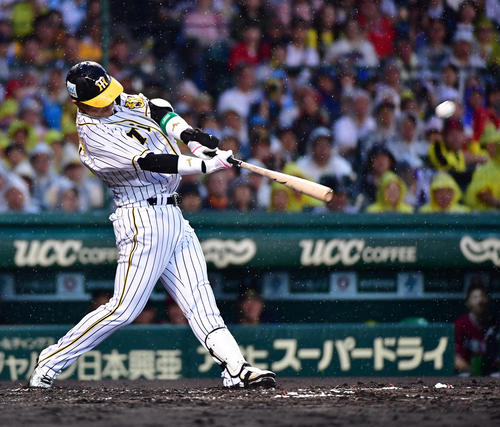2回裏全セ無死、左越え本塁打を放つ阪神原口文仁（撮影・清水貴仁）