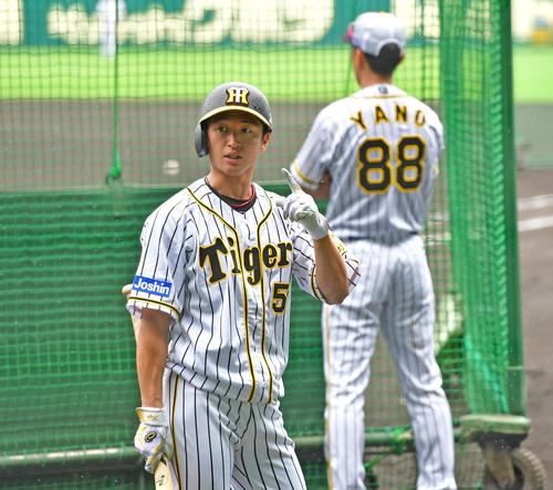 打撃練習を行う近本光司（撮影・清水貴仁）＝2019年7月14日、甲子園球場