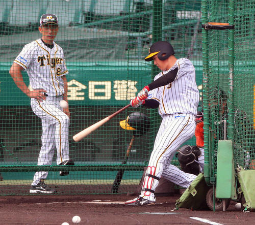 フリー打撃に励む大山悠輔と見つめる矢野燿大監督（撮影・宮崎幸一）