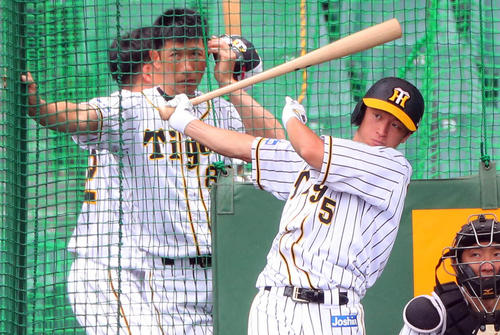 矢野監督（後方）が見つめる中、フリー打撃を行う近本（撮影・宮崎幸一）