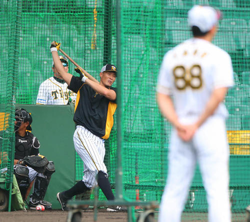 フリー打撃に励む糸井と見つめる矢野監督（撮影・宮崎幸一）
