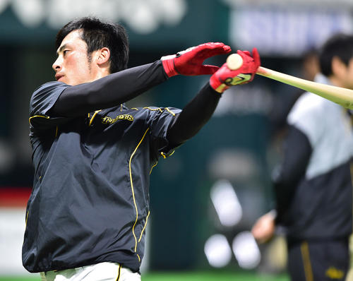 阪神江越大賀（2019年3月2日撮影）