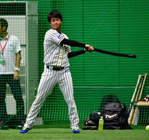 試合前、器具を使いウオームアップする高橋遥（撮影・清水貴仁）