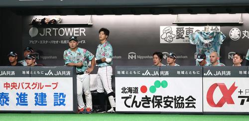 日本ハム対ロッテ　ベンチで渋い表情のロッテナイン（撮影・黒川智章）