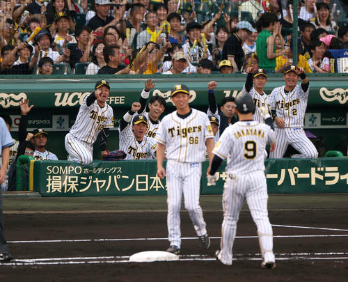 阪神対ヤクルト　2回裏阪神1死三塁、高山（手前）の先制時打に盛り上がる阪神ベンチ（撮影・上山淳一）