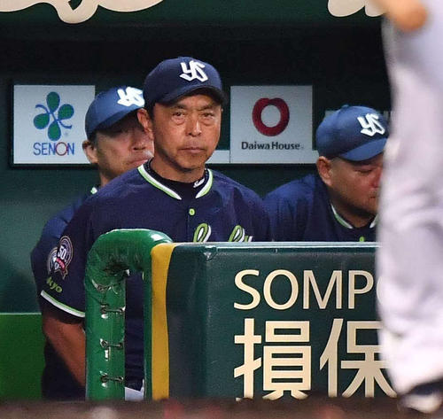 阪神対ヤクルト　ベンチで厳しい表情を見せる小川淳司監督（撮影・上田博志）
