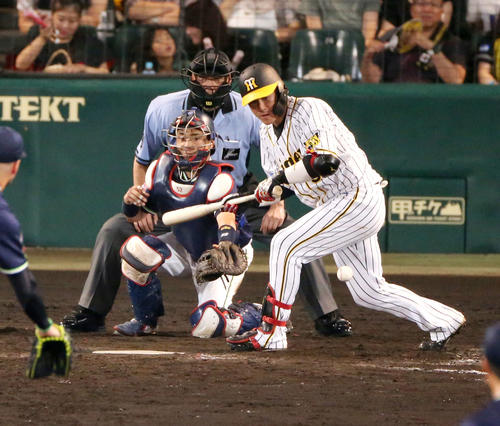 阪神対ヤクルト　9回裏阪神無死二塁、陽川尚将は送りバントを決める（撮影・上山淳一）