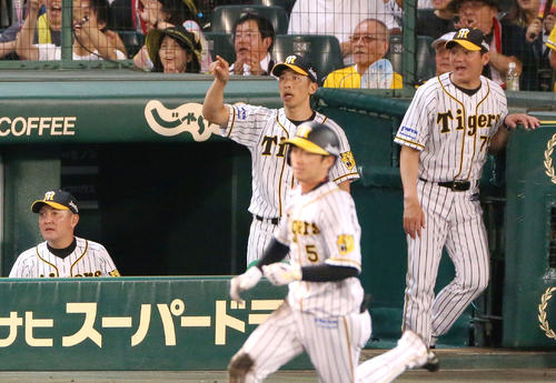 5回裏阪神2死一、二塁、矢野監督（左から2人目）は近本の右越え3点本塁打をベンチから指さす（撮影・上山淳一）