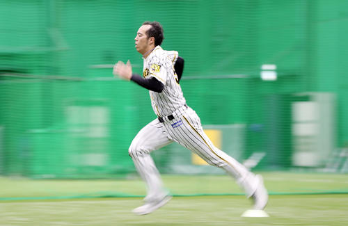 投手指名練習でダッシュを繰り返す青柳（撮影・前田充）