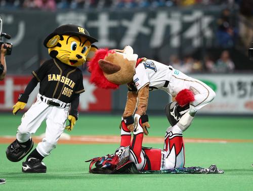 2018年6月13日、獣神サンダー・ライガーにロメロスペシャルをかけられるフレップ