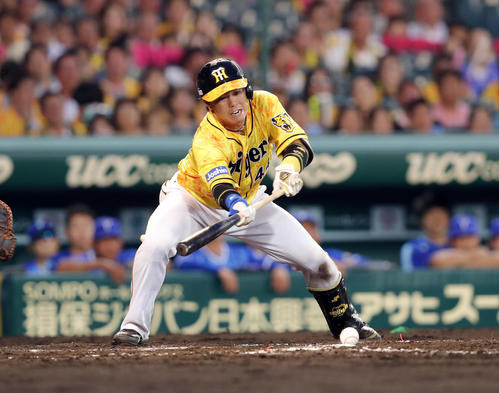 阪神対DeNA　5回裏阪神1死一、三塁、スクイズを決める梅野隆太郎（撮影・前田充）