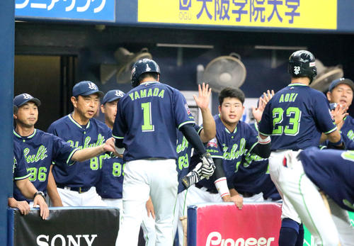 巨人対ヤクルト 1回表ヤクルト2死満塁、中村悠平の先制の左前適時打で2点を先制し出迎える小川淳司監督(左から2人目)らヤクルトベンチ(撮影・上山淳一)