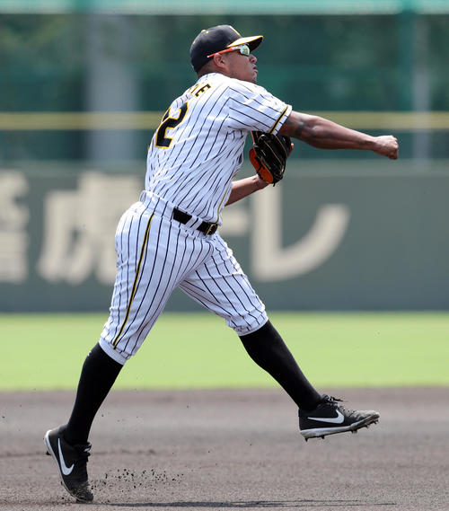 阪神対BC福井、富山選抜　1回表BC福井、富山選抜無死、須藤の打球を軽快にさばく遊撃手ソラーテ（撮影・前田充）