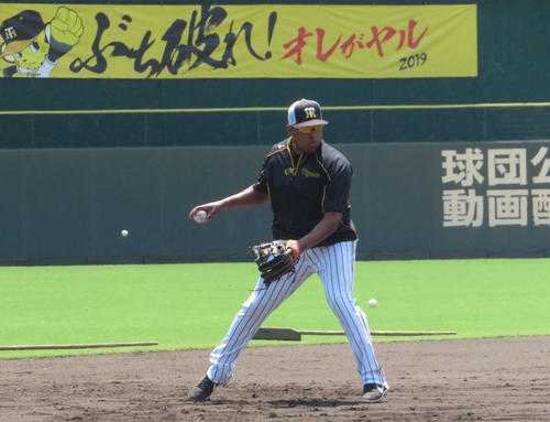 遊撃手の位置でノックを受けるソラーテ（撮影・磯綾乃）