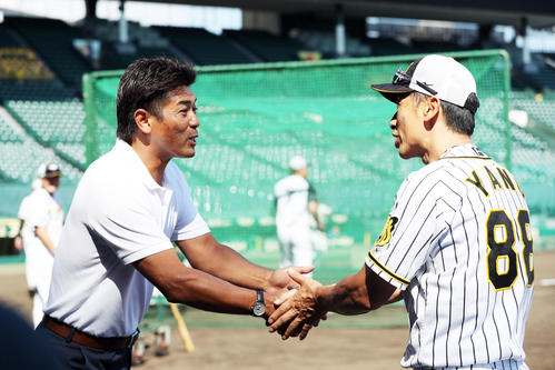 阪神対DeNA　試合前練習で握手を交わす侍ジャパンの稲葉監督（左）と阪神矢野監督（撮影・前田充）