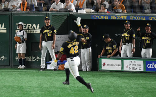 巨人対阪神 7回表阪神2死一塁、2点本塁打を放って喜ぶソラーテを見つめる矢野監督(左から2人目)(撮影・山崎安昭)